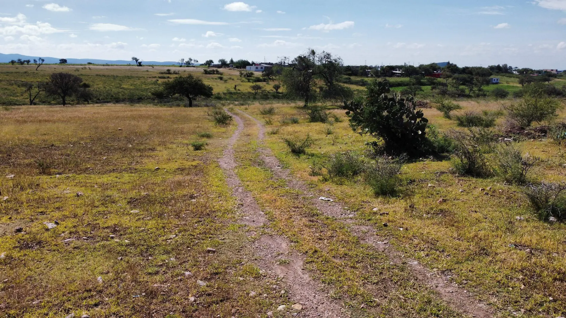 TRABAJA CEAG EN ATENDER AL CAMPO Y CONTRARESTAR LA SEQUÍA (1)